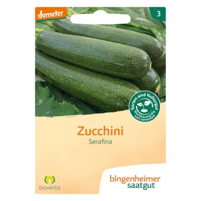 Zucchini 'Serafina'